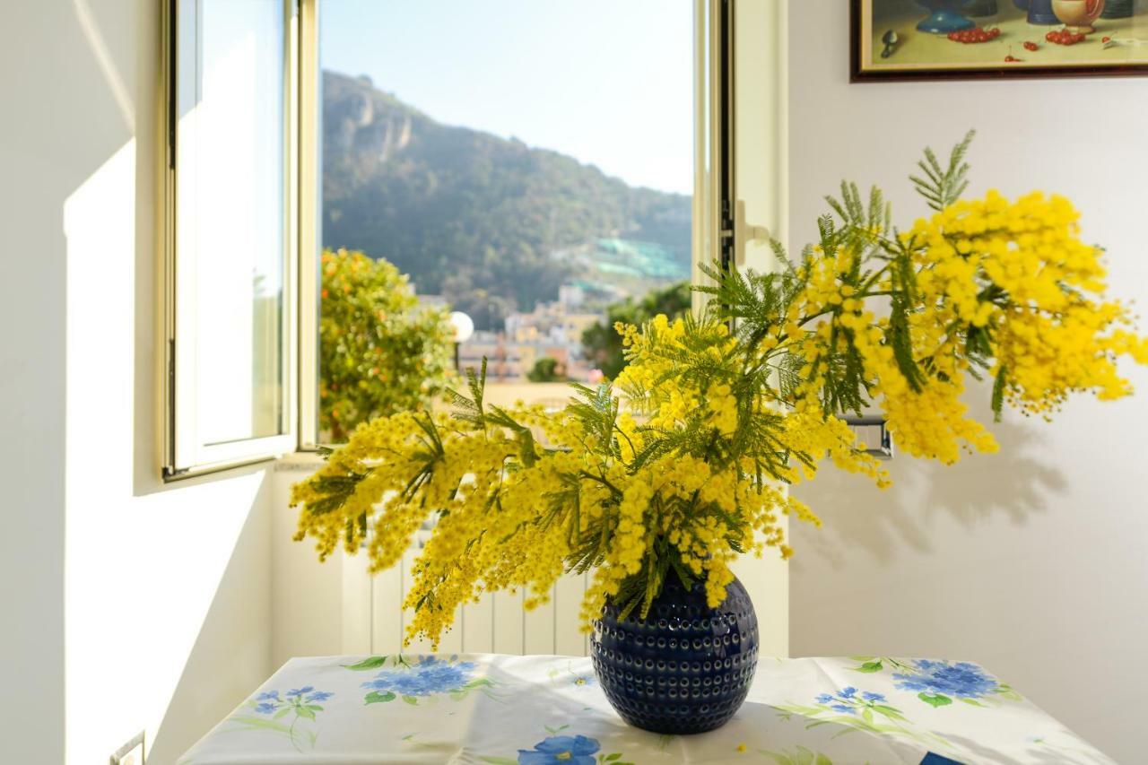 Villa Maiori Dream House Extérieur photo